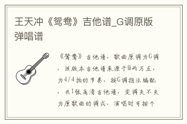 王天冲《鸳鸯》吉他谱_G调原版弹唱谱