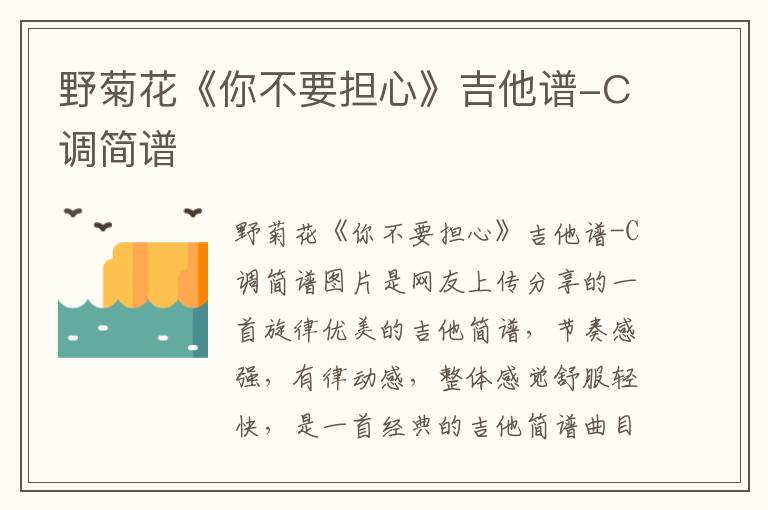 野菊花《你不要担心》吉他谱-C调简谱