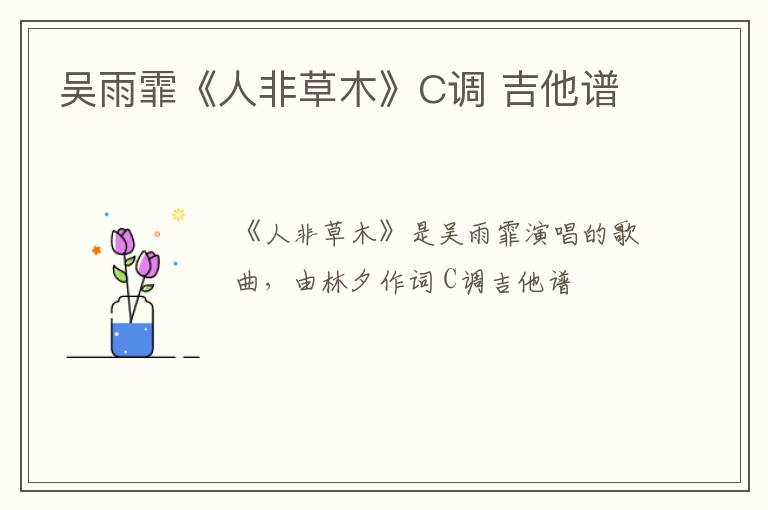 吴雨霏《人非草木》C调 吉他谱