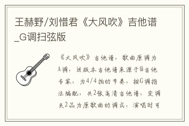 王赫野/刘惜君《大风吹》吉他谱_G调扫弦版