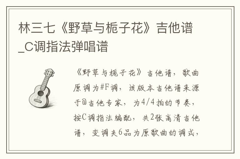 林三七《野草与栀子花》吉他谱_C调指法弹唱谱