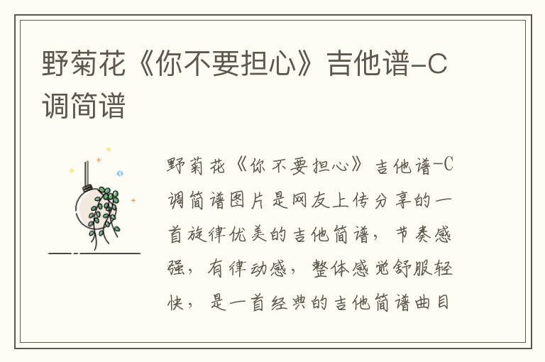 野菊花《你不要担心》吉他谱-C调简谱