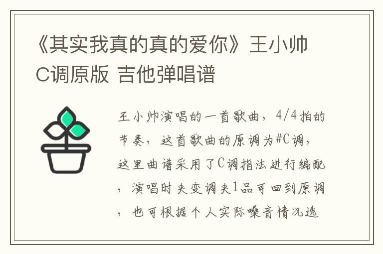 《其实我真的真的爱你》王小帅 C调原版 吉他弹唱谱