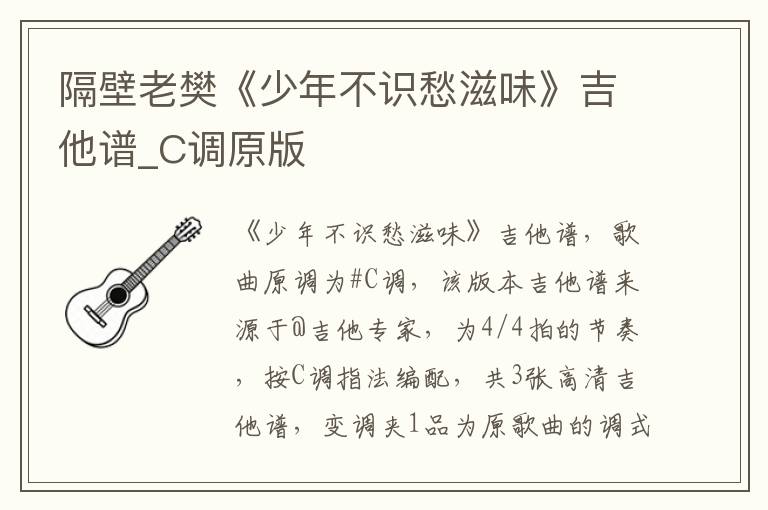 隔壁老樊《少年不识愁滋味》吉他谱_C调原版
