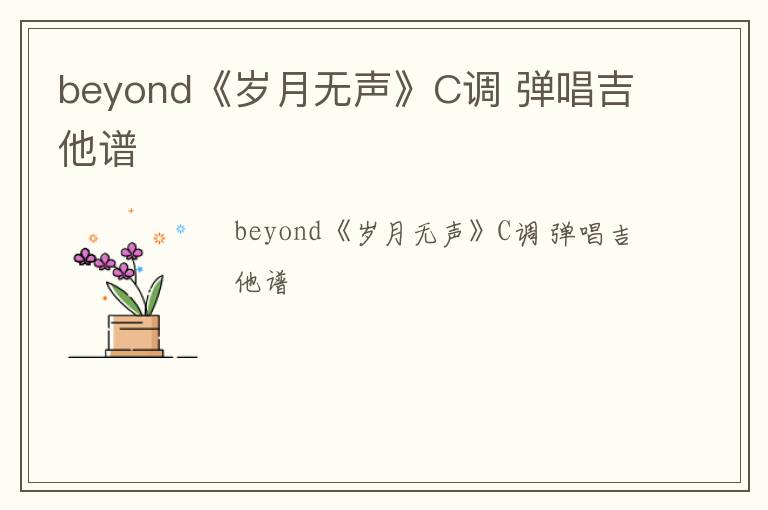 beyond《岁月无声》C调 弹唱吉他谱