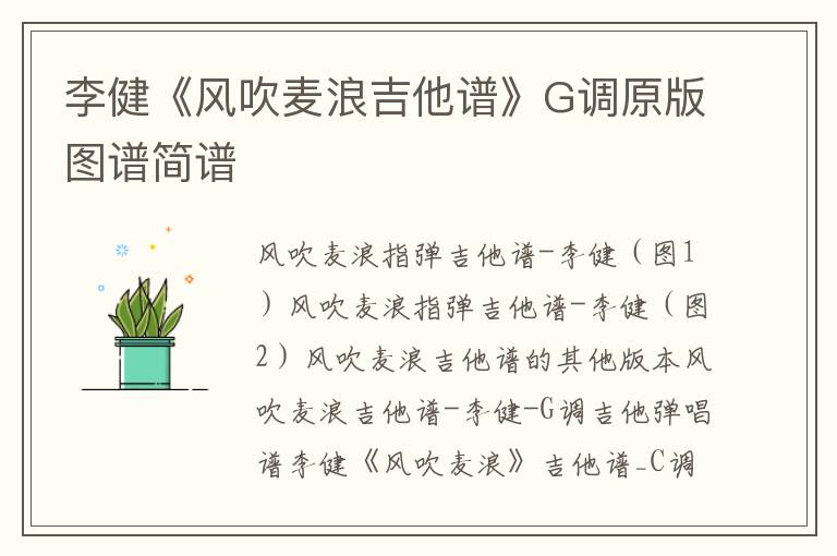 李健《风吹麦浪吉他谱》G调原版图谱简谱