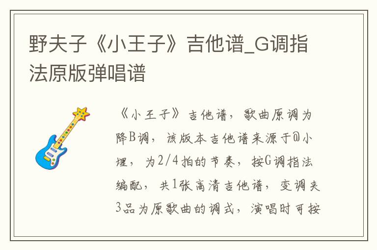 野夫子《小王子》吉他谱_G调指法原版弹唱谱