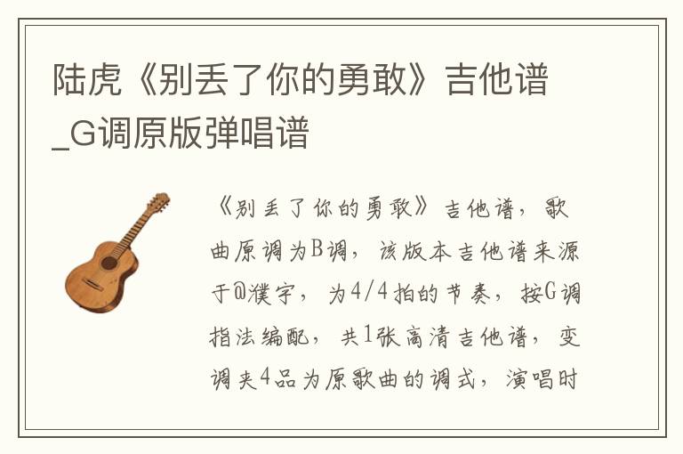 陆虎《别丢了你的勇敢》吉他谱_G调原版弹唱谱