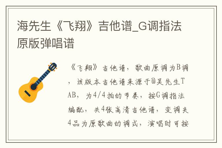 海先生《飞翔》吉他谱_G调指法原版弹唱谱