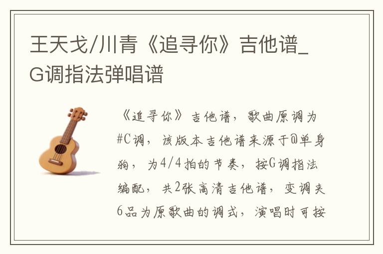 王天戈/川青《追寻你》吉他谱_G调指法弹唱谱