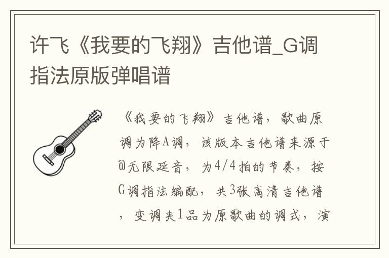 许飞《我要的飞翔》吉他谱_G调指法原版弹唱谱