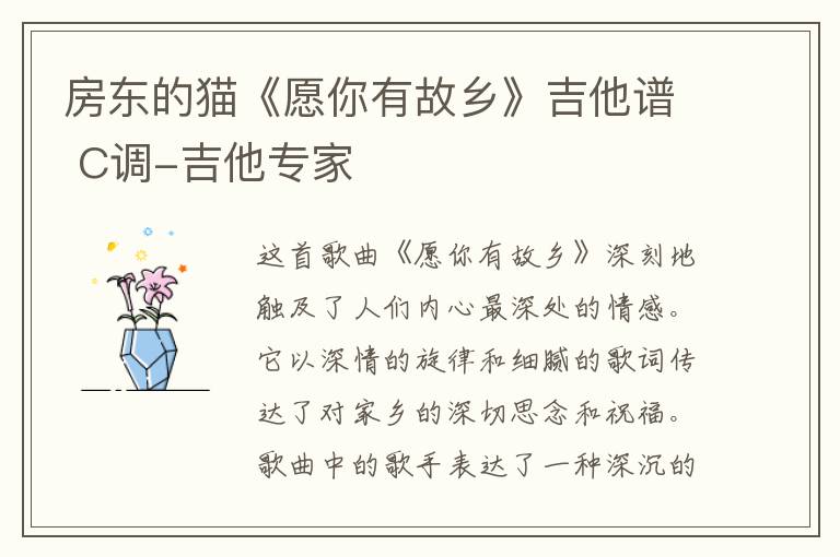 房东的猫《愿你有故乡》吉他谱 C调-吉他专家