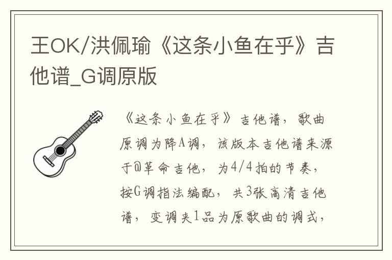 王OK/洪佩瑜《这条小鱼在乎》吉他谱_G调原版