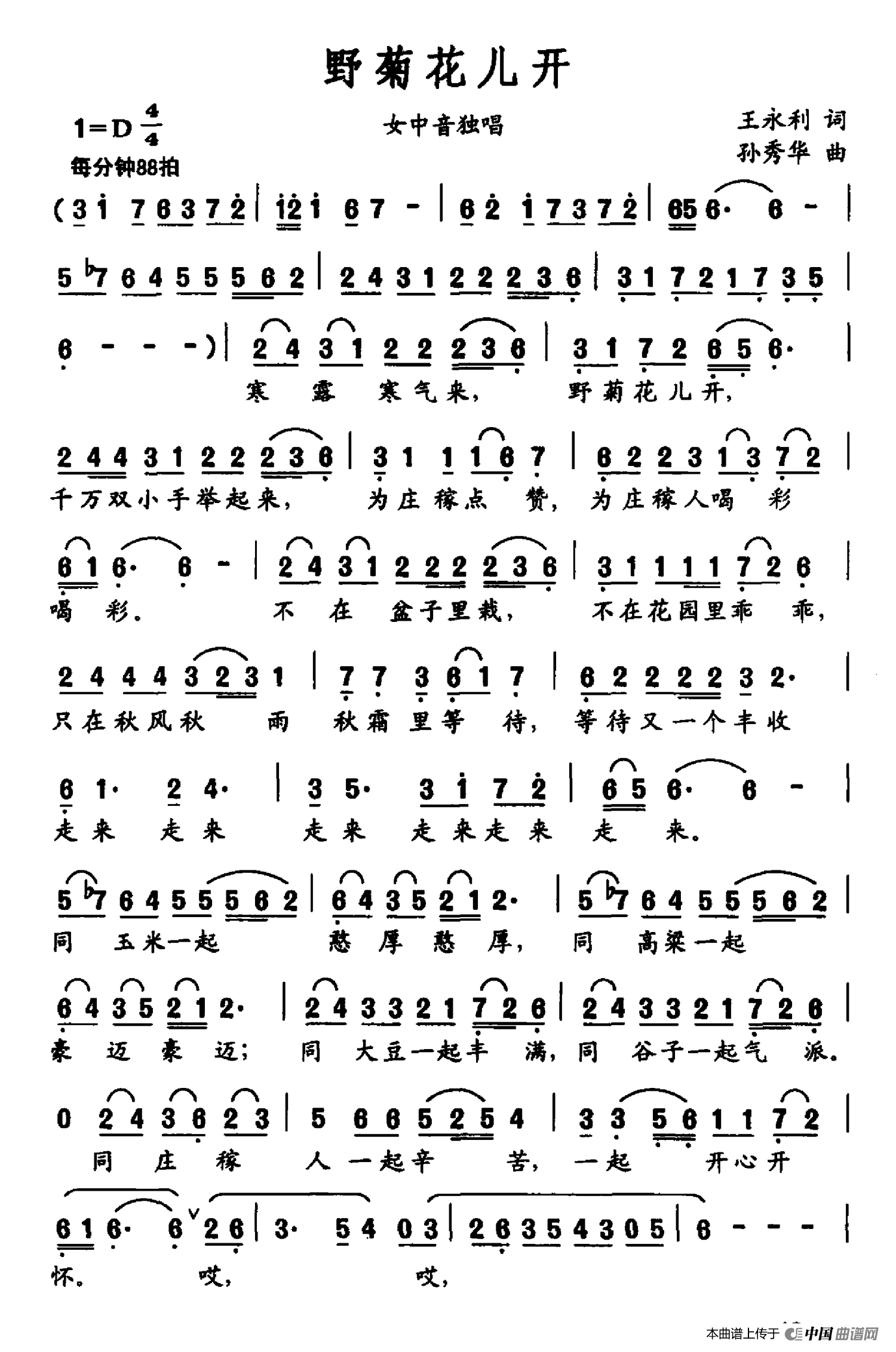 [简谱] 野菊花儿开
