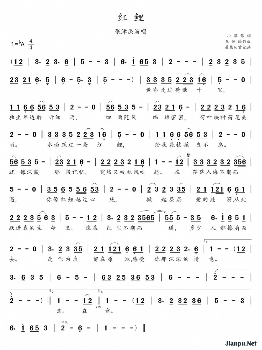 《红鲤》的简谱 张津涤 