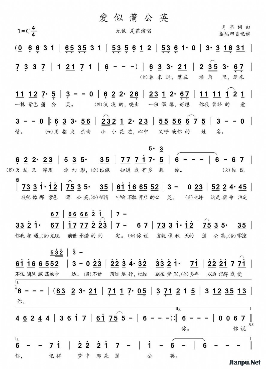 《爱似蒲公英》的简谱 无敌雪花 