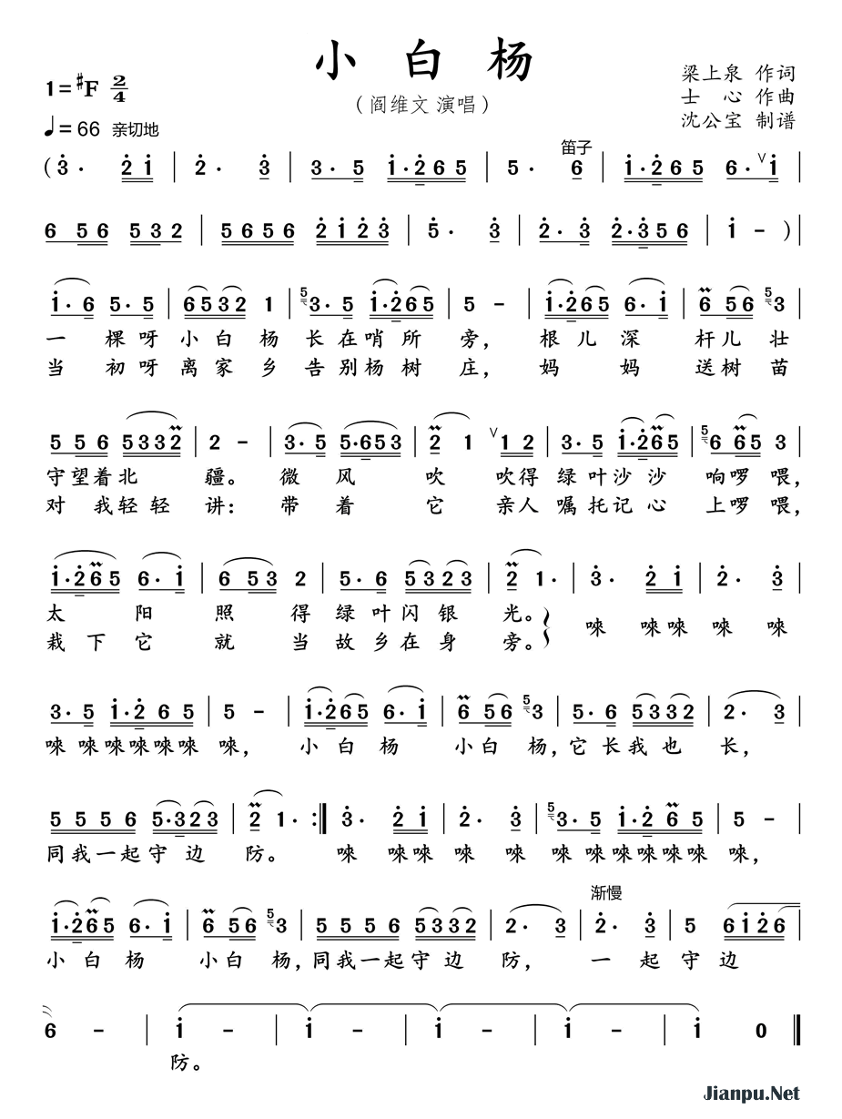 《小白杨》的简谱 阎维文 