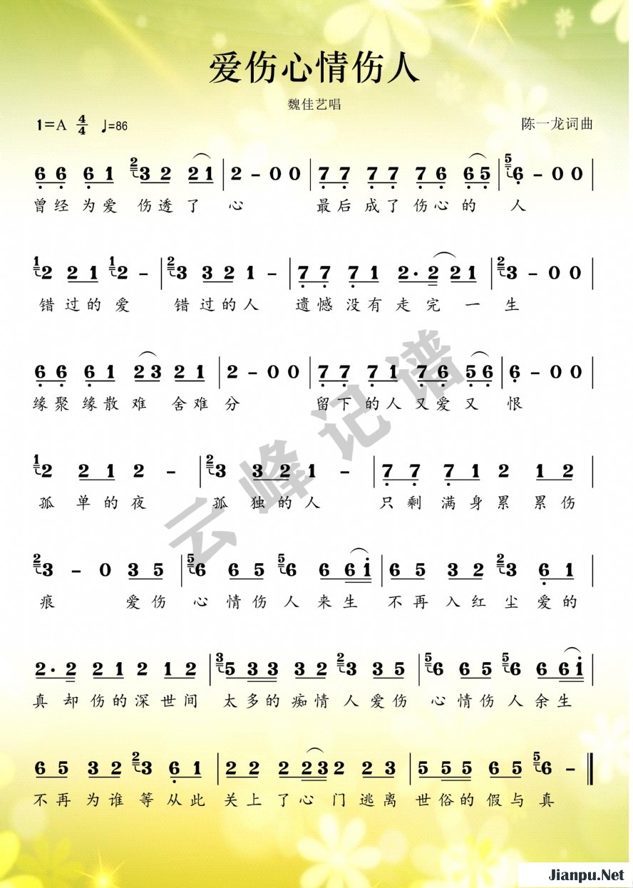 《爱伤心情伤人》的简谱 魏佳艺 