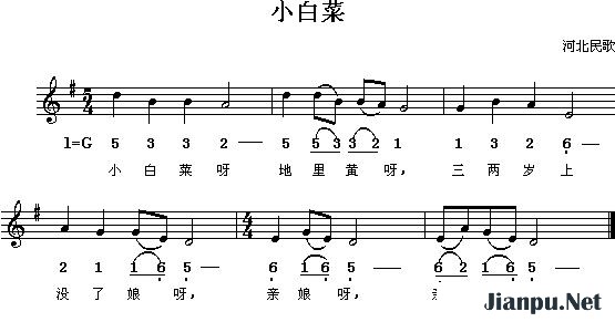 《小白菜》的简谱  