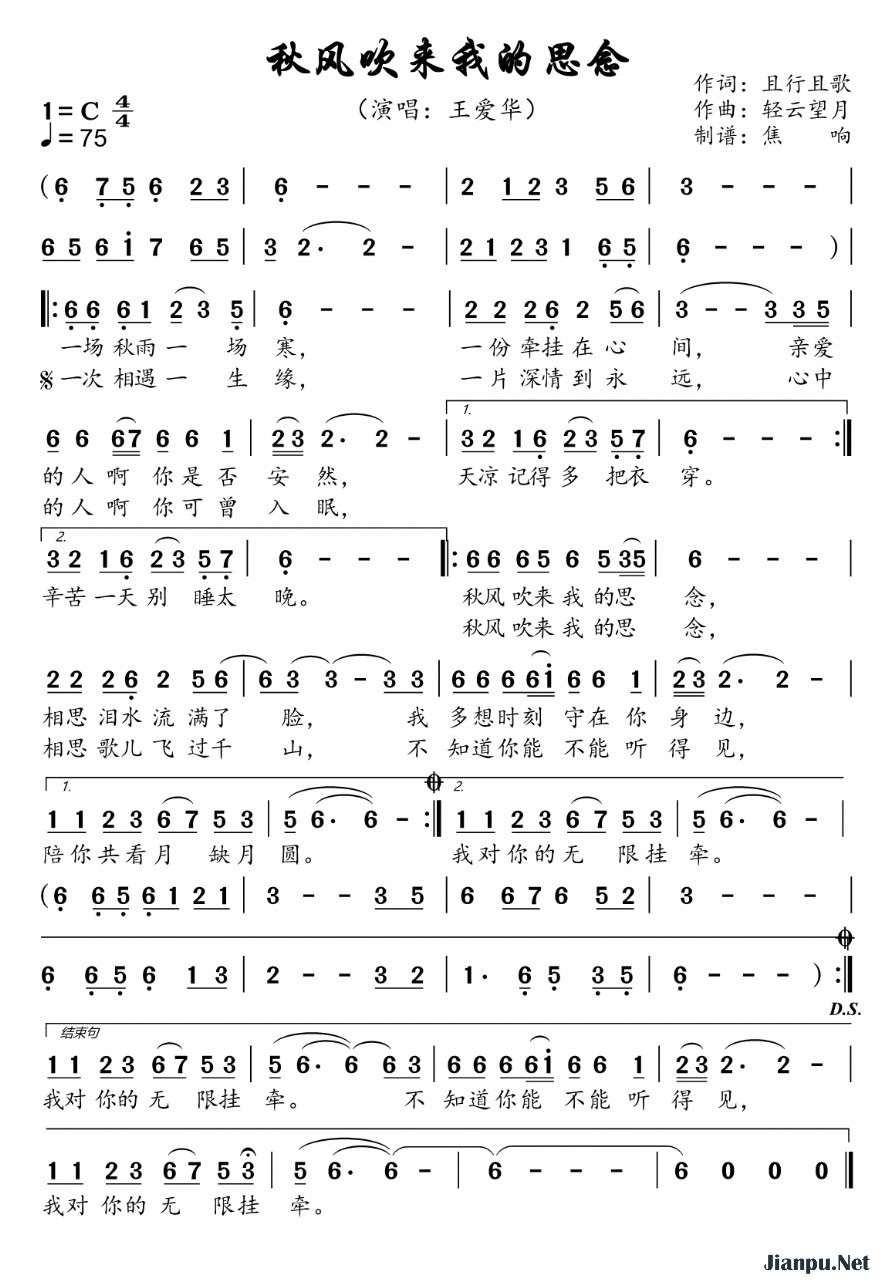 《秋风吹来我的思念》的简谱 王爱华 