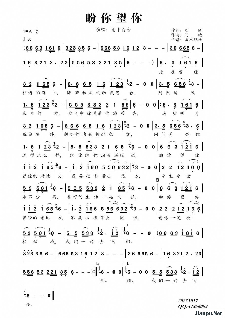 《盼你望你》的简谱 雨中百合 