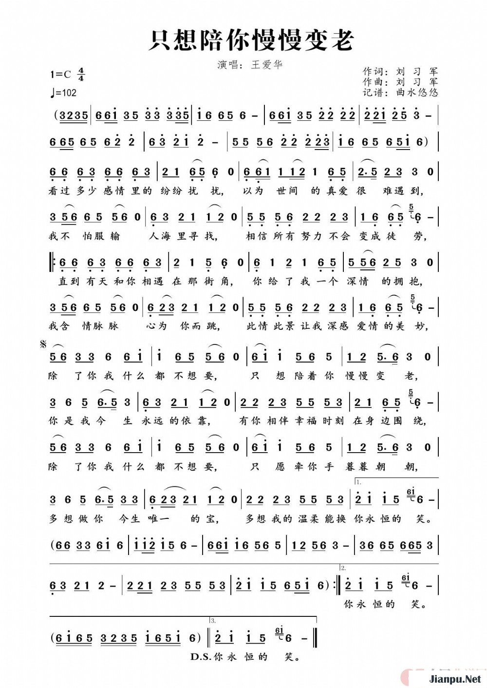 《只想陪你慢慢变老》的简谱 王爱华 