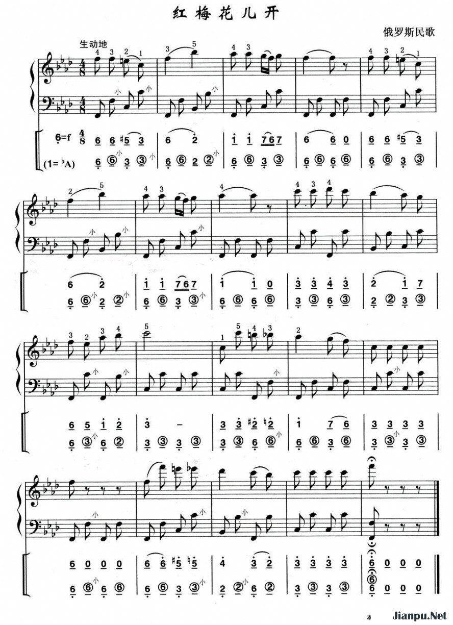 《红莓花儿开》的简谱 