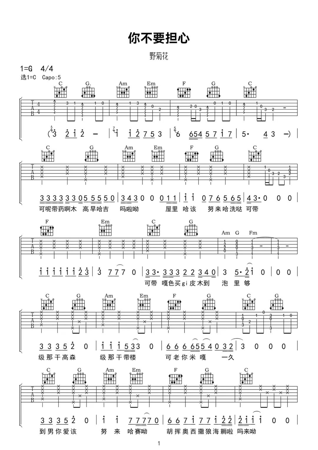 野菊花《你不要担心》吉他谱-C调简谱