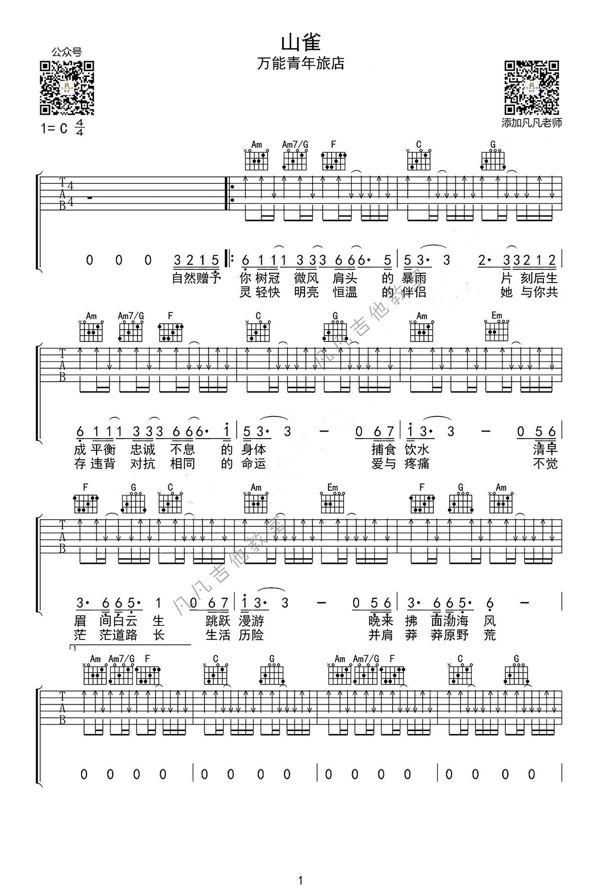 山雀吉他谱-万能青年旅店《山雀》C调弹唱吉他谱简谱
