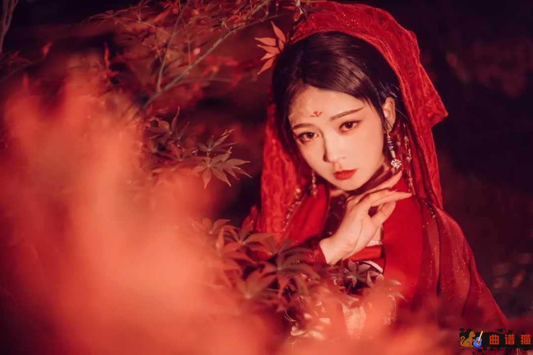 红昭愿吉他谱 音阙诗听-重寄一段过往  将希冀都流放简谱