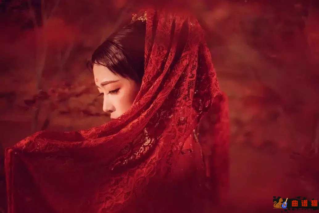 红昭愿吉他谱 音阙诗听-重寄一段过往  将希冀都流放简谱