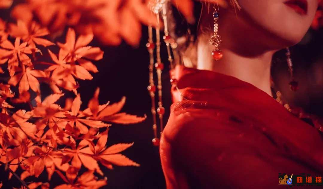 红昭愿吉他谱 音阙诗听-重寄一段过往  将希冀都流放简谱