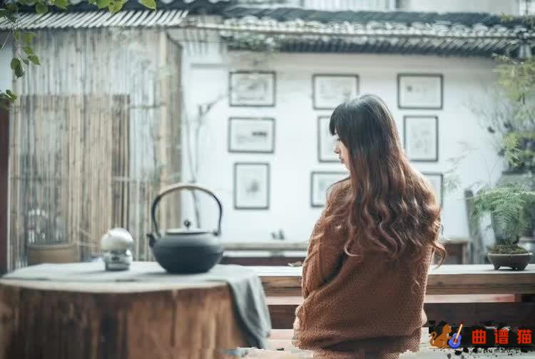 味道吉他谱 辛晓琪 想念着记忆里和你相爱的味道简谱