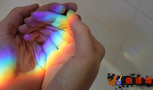 没有什么不同吉他谱-曲婉婷一个人的寂寞简谱