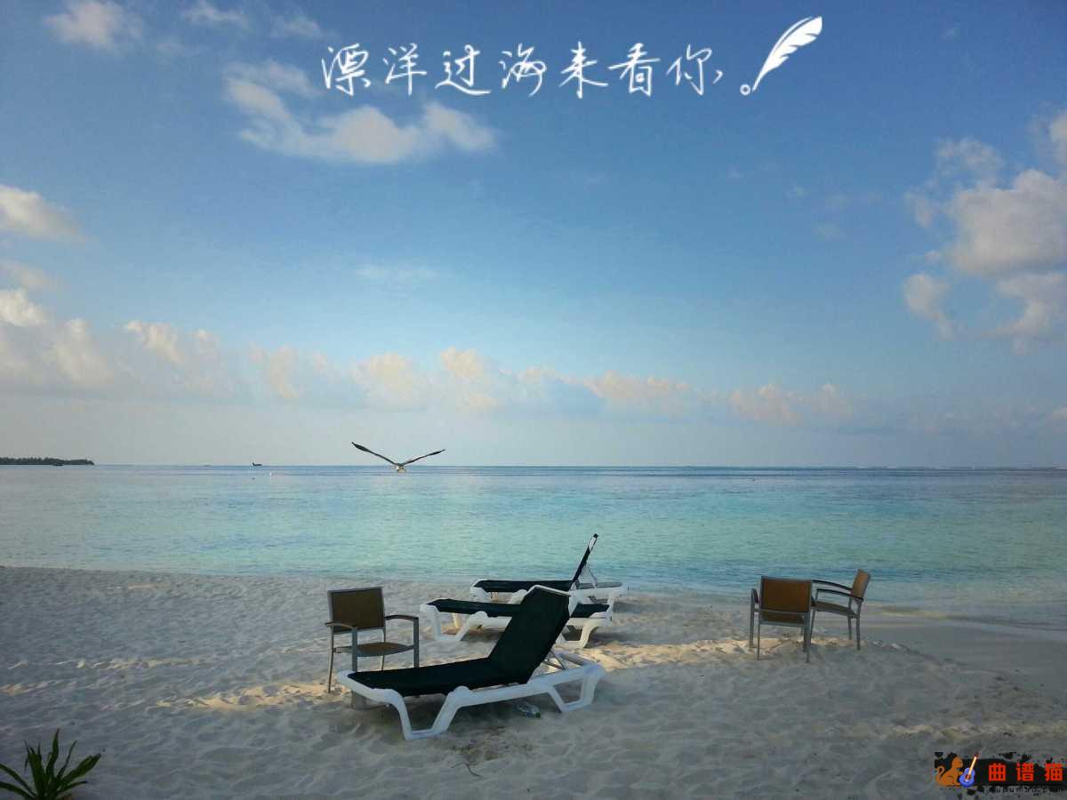 漂洋过海来看你吉他谱 刘明湘-多盼能送君千里直到山穷水尽 一生和你相依简谱