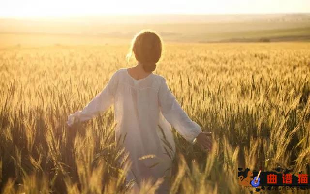 关于郑州的记忆李志 吉他谱-那是一个回忆的地方简谱