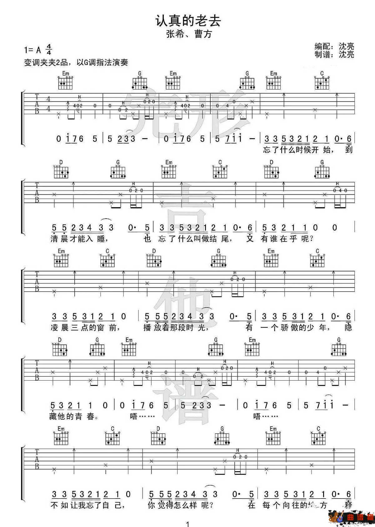 认真的老去吉他谱-张希/曹方-待明白过来时,只能选择认真地老去简谱