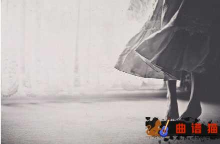 认真的老去吉他谱-张希/曹方-待明白过来时,只能选择认真地老去简谱