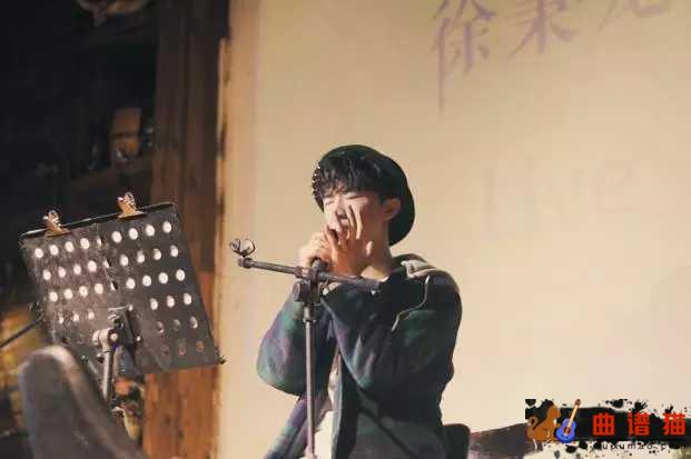 白羊吉他谱-徐秉龙 多热烈的白羊,多善良多抽象简谱