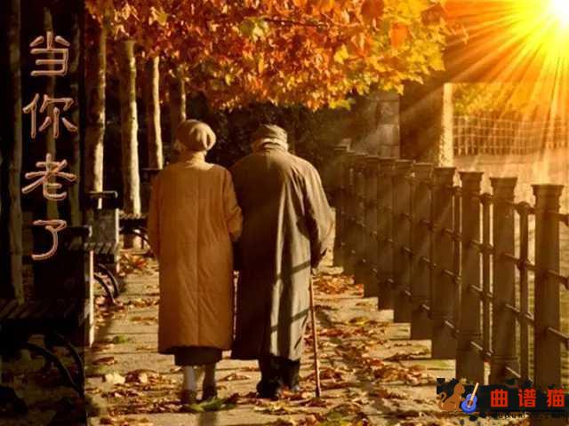 当你老了吉他谱-赵照-爱和恨之间复杂的张力简谱