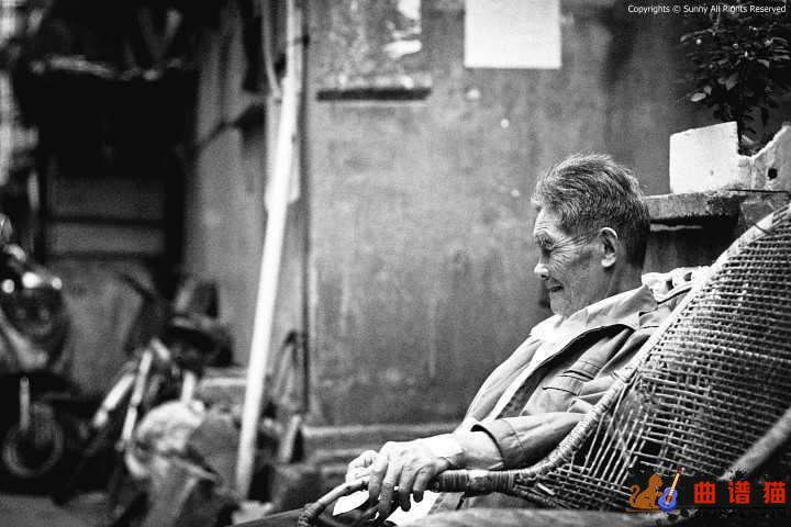 当你老了吉他谱-赵照-爱和恨之间复杂的张力简谱