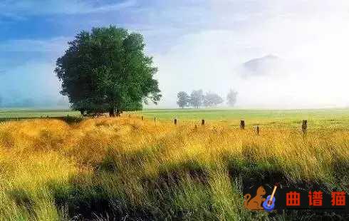 稻香吉他谱 周杰伦的微微笑,小时候的梦我知道简谱