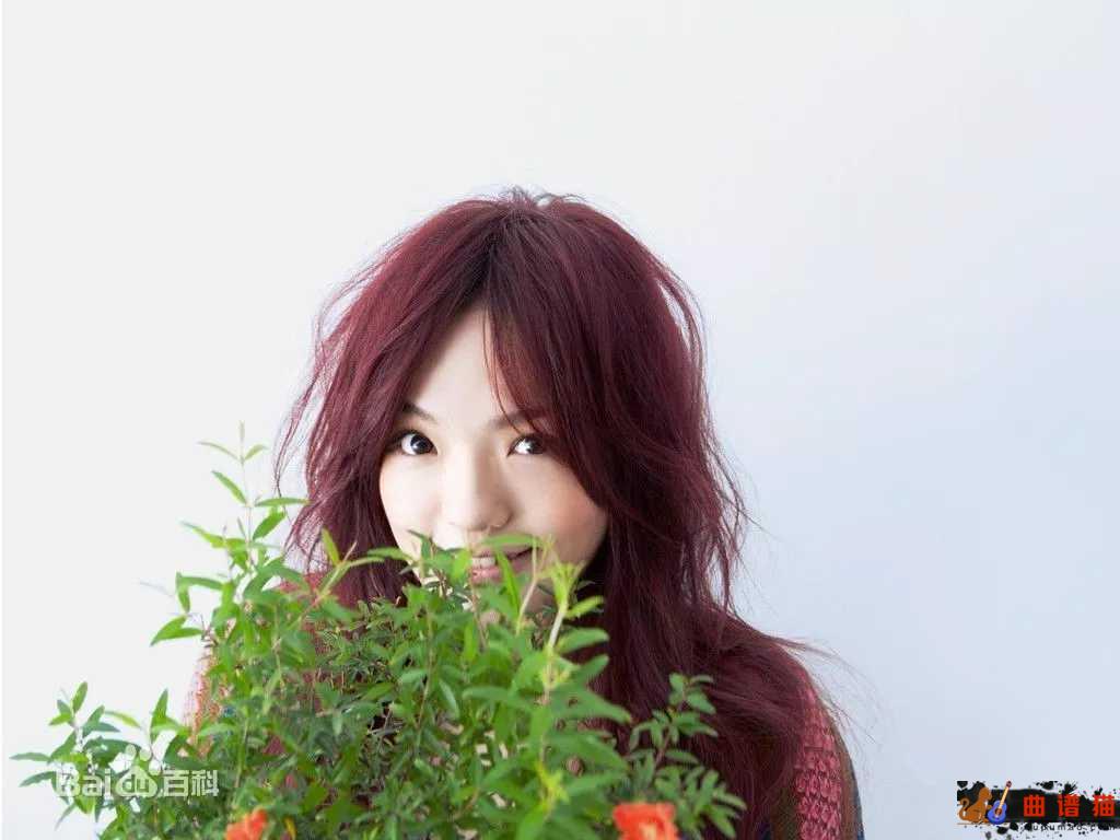 失落沙洲吉他谱  徐佳莹---我不是一定要你回来，只是当又一个人看海简谱